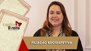 Explica Direito Filiação Socioafetiva  2019 [upl. by Amieva321]