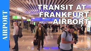 TRANSIT WALK AT FRANKFURT Airport FRA Terminal 1  Connection Flight Transfer Arriving amp Departing [upl. by Ainatnas888]